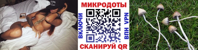 Псилоцибиновые грибы MAGIC MUSHROOMS  Купить  Демидов 